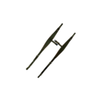 CORREA DE ACORDEON BASSO ACO02