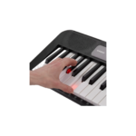 TECLADO LK-S250 CASIO - Imagen 2