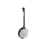 BANJO STAGG 5C BJW24DL