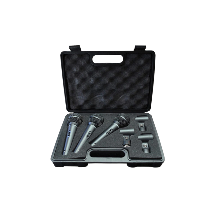 VALIJA LEEM 3 MICROFONOS DM-3S - Imagen 1