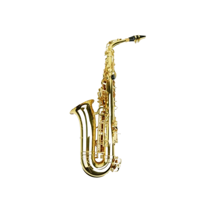 SAXO ALTO LINCOLN WINDS JYAS1102P - Imagen 2