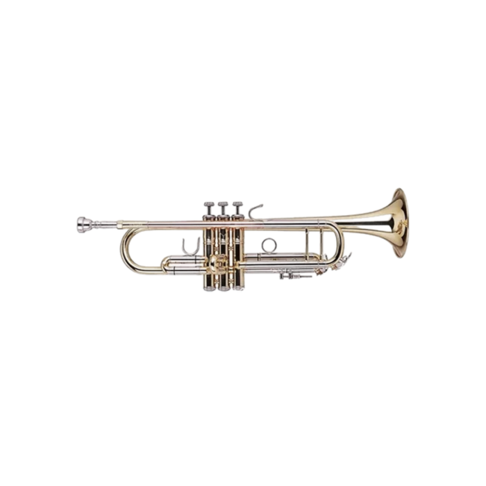 TROMPETA WISEMANN DTR-250 CLAVE BB - Imagen 1