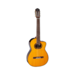 TAKAMINE GC6CENAT